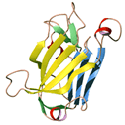 N-terminal DNA-binding domain of XRCC1