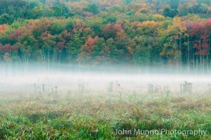 Misty field in Roxbury, CT (John Munno Photography)
