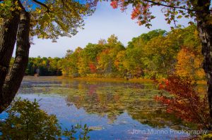 Fall leaves over water in Middlebury, CT (John Munno Photography)