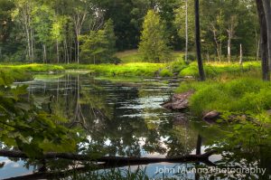 A stream in Woodbury, CT (John Munno Photography)