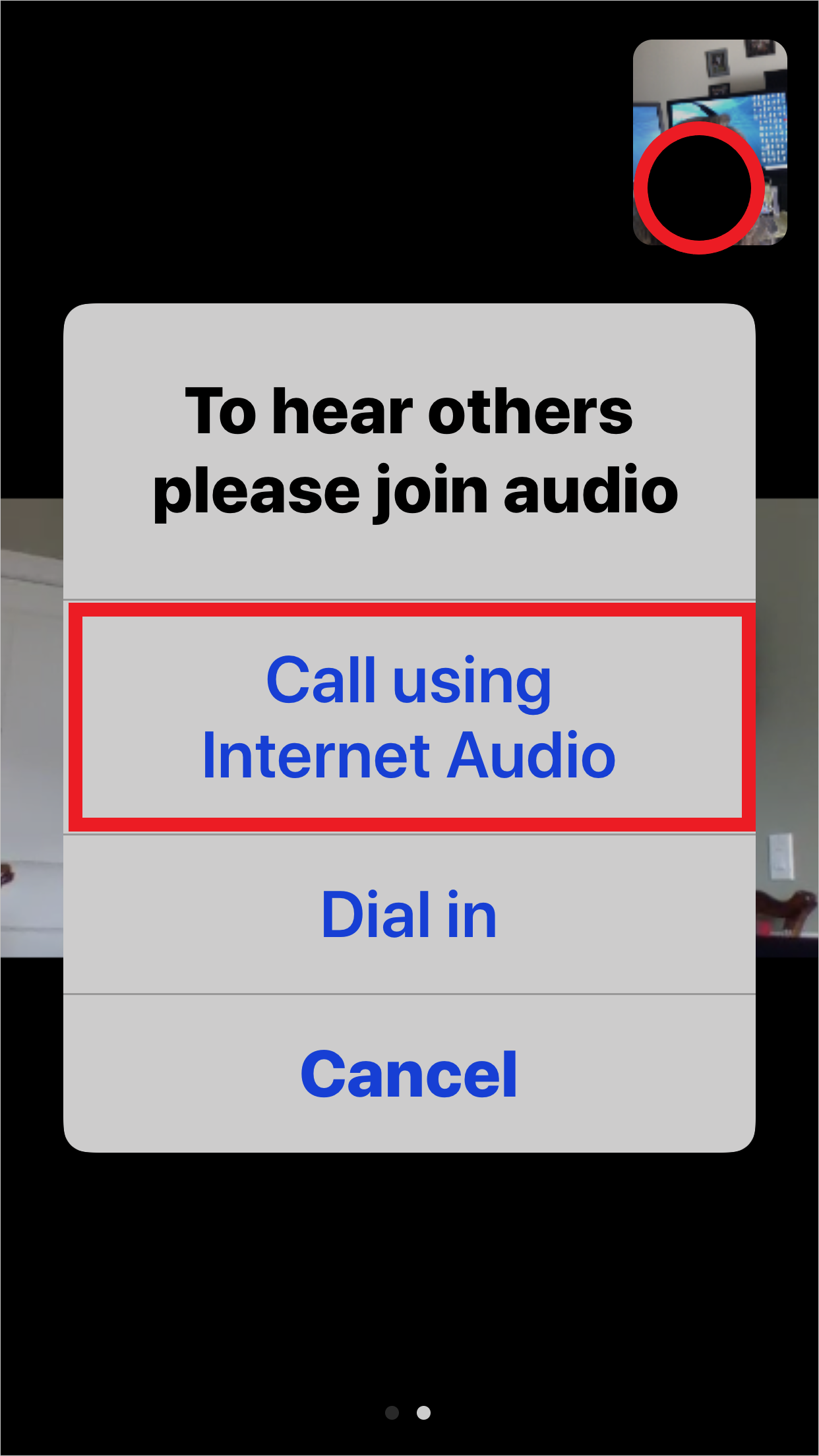 Call Using Internet Audio screenshot